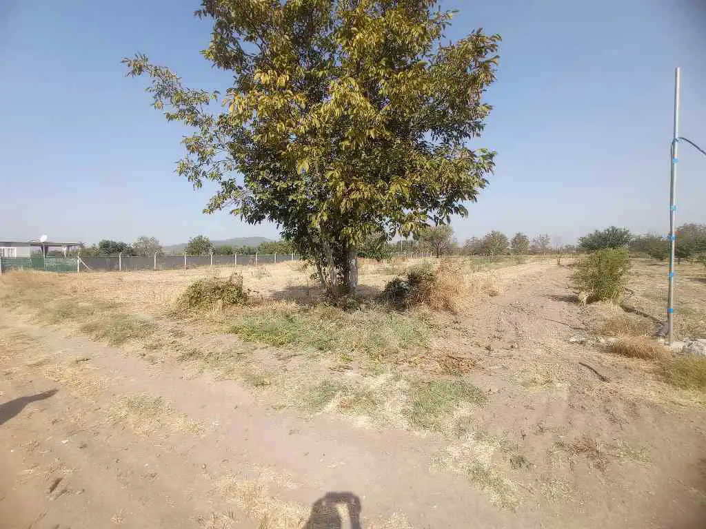 FOÇA YOLU ÜZERİNDE SATILIK ARAZİ