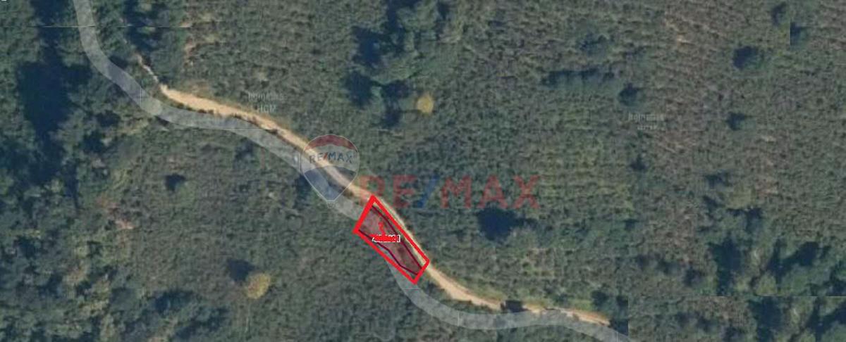 DOĞA MANZARALI FINDIK BAHÇESI