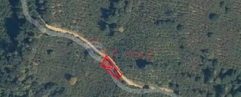 DOĞA MANZARALI FINDIK BAHÇESI