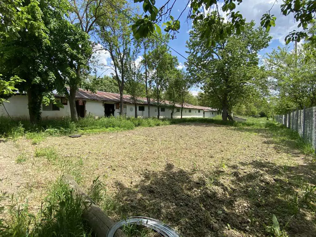 Property image 10