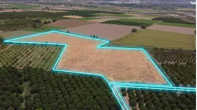 FIRSAT! KUYUCAK'TA MERKEZE YAKIN, YOLA CEPHE, MENDERES YANI, YILDA 3 MAHSÜL VEREN SATILIK TARLA