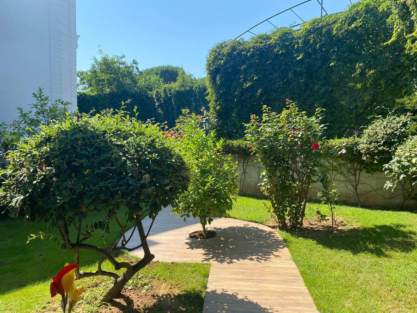 Property image 21