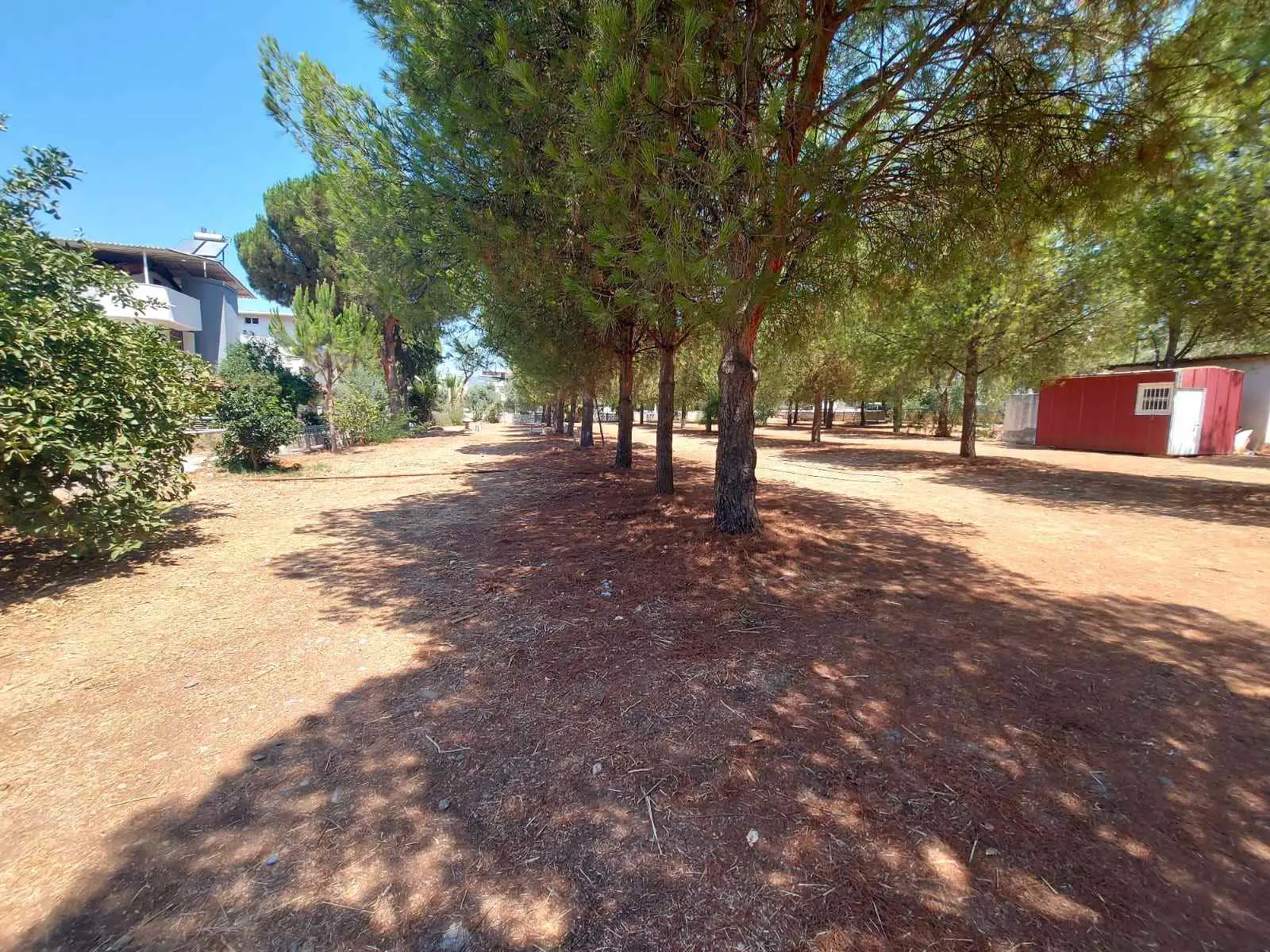 Property image 17