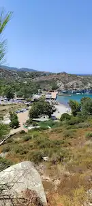 YENI FOÇA SAZLICA KOYUNDA 3426 METREKARE SATILIK ZEYTINLI TARLA