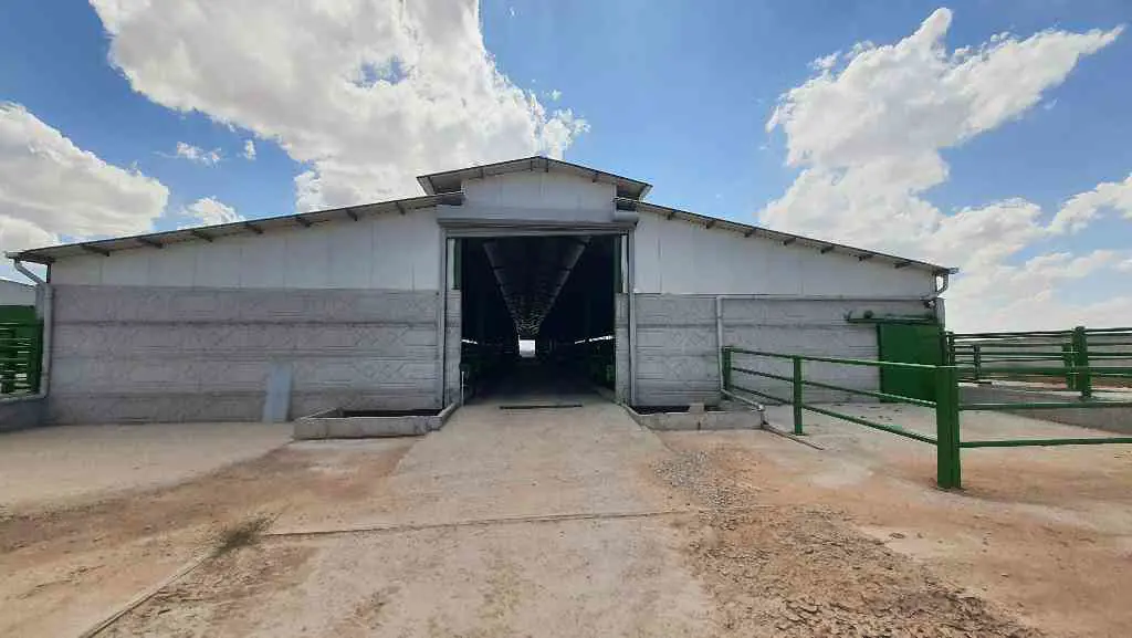 Property image 16