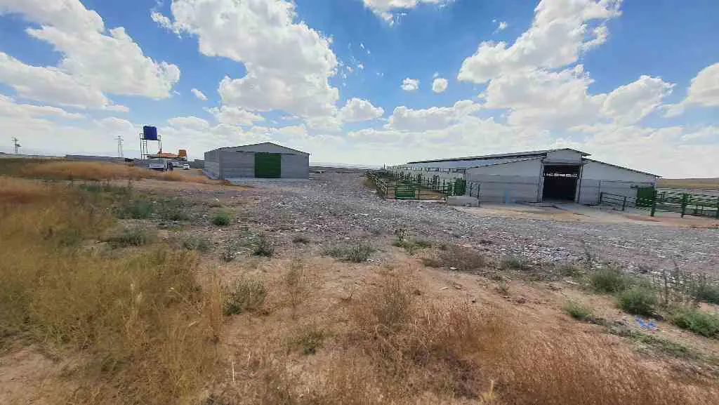 Property image 18