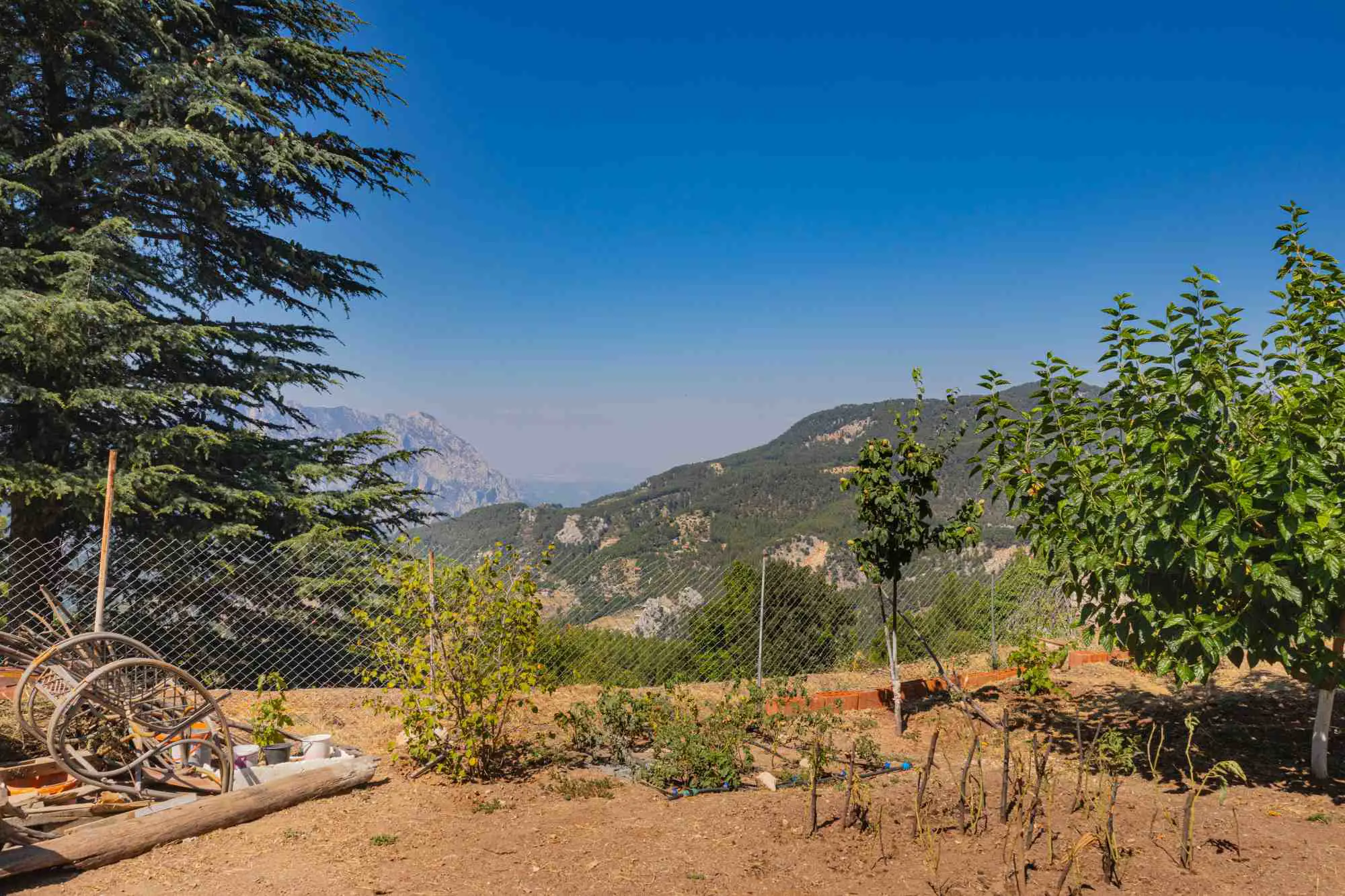 Property image 27