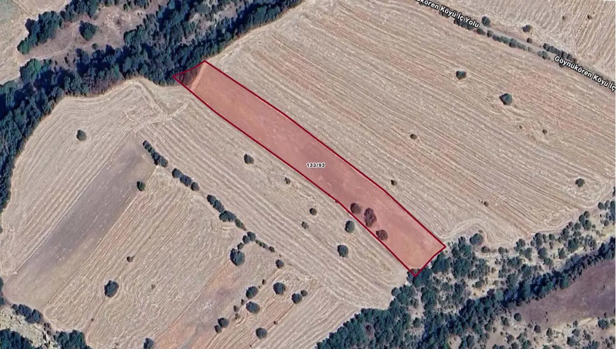 KÜTAHYA GEDİZ GÖLCÜK’TE 8.587 M² SATILIK TARLA