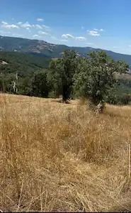 *RABİA TIKIR*BALIKESİR / KEPSUT’TA 4.718M2 YOL ÜZERİ YATIRIMLIK TARLA