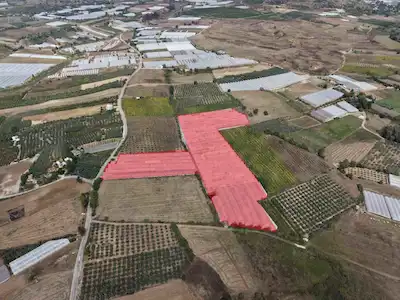 ANTALYA SERİK ÜRÜNDÜ’DE SATILIK SERA | YATIRIMLIK FIRSAT