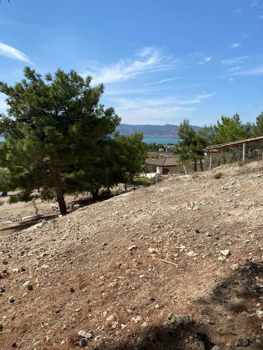 Property image 30