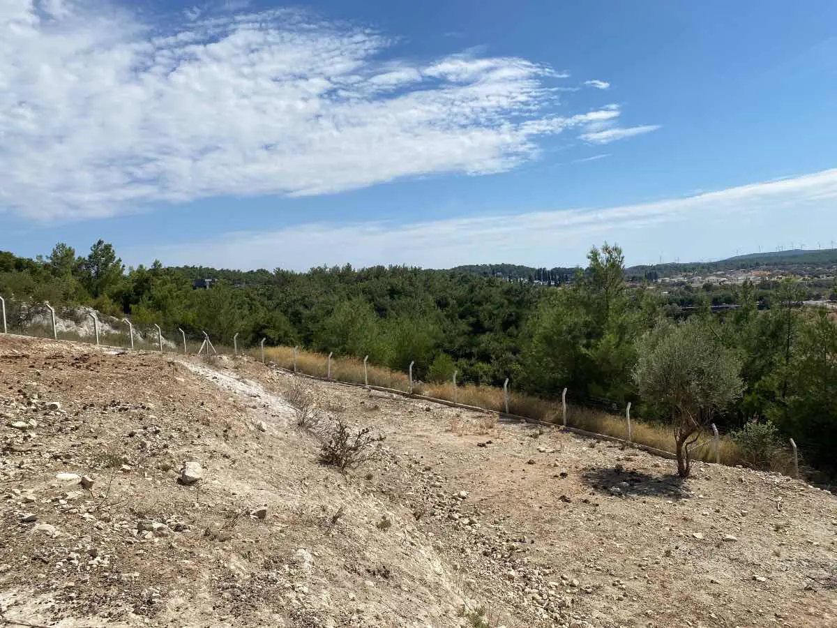 Property image 23