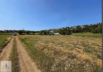 KONYA BOZKIR PINARCIKTA 1000 M2 YOLU OLAN TARLA