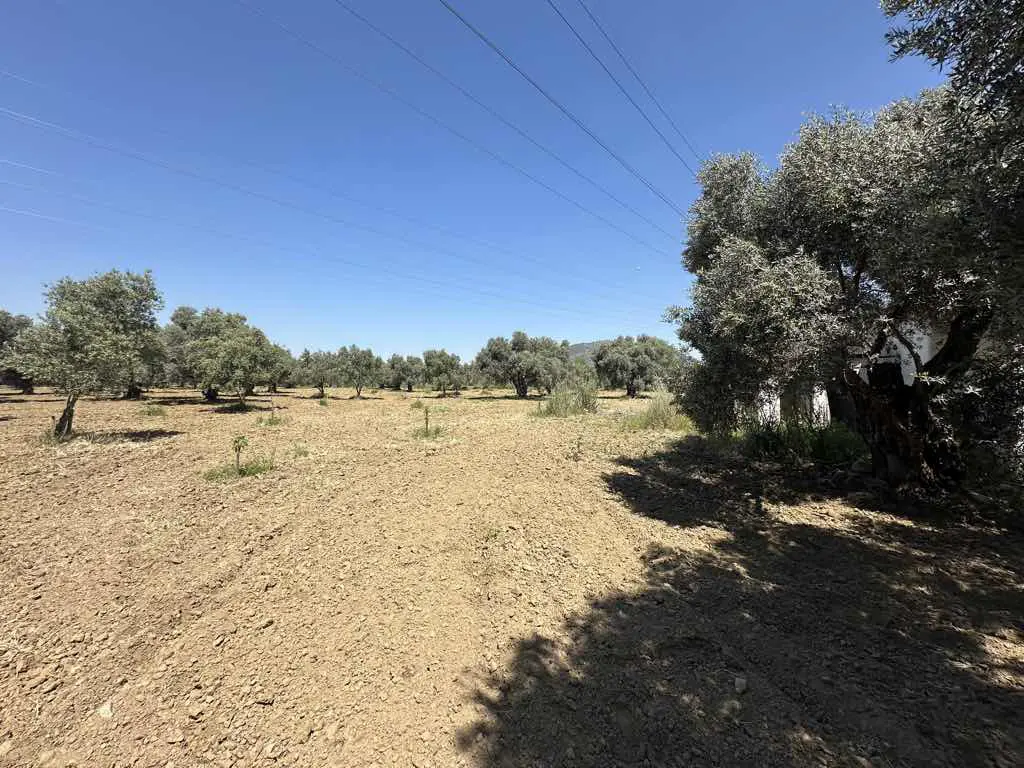 Property image 26