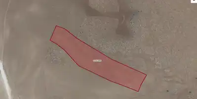 SINCAN TEMELLIDE 15.169 M2 SATILIK TARLA