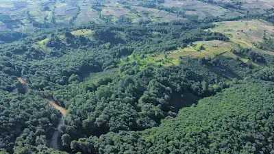 AHMETHACILAR'DA 2 DÖNÜM SATILIK TARLA