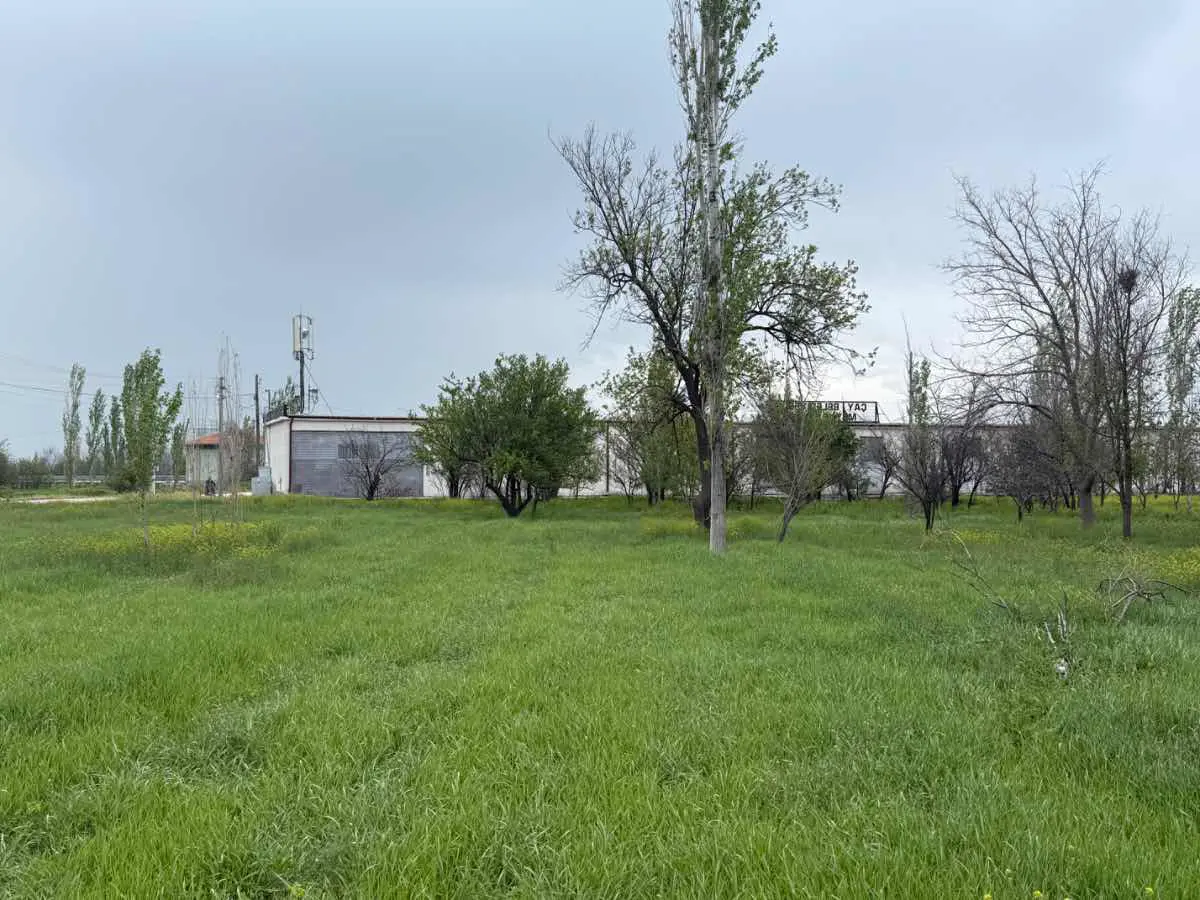 Property image 10