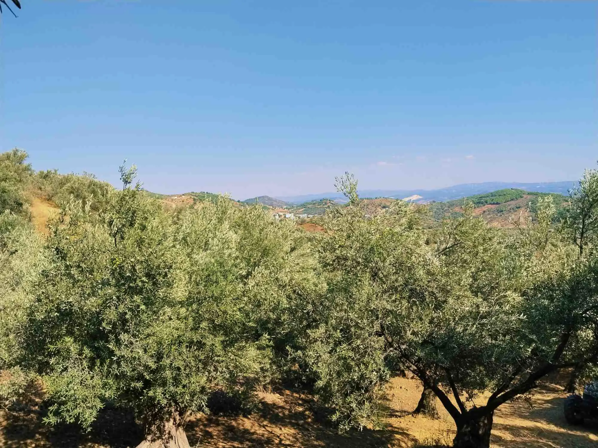 Property image 23