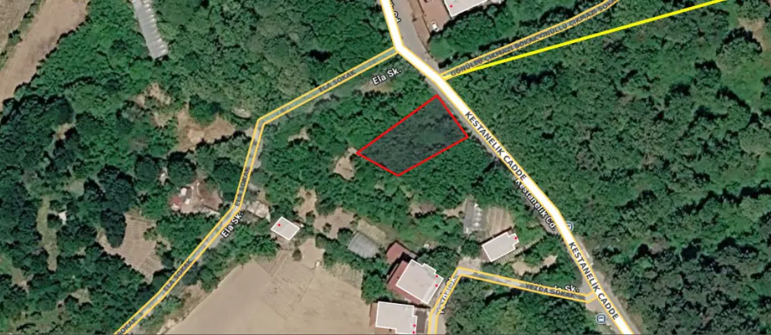 Property image 10