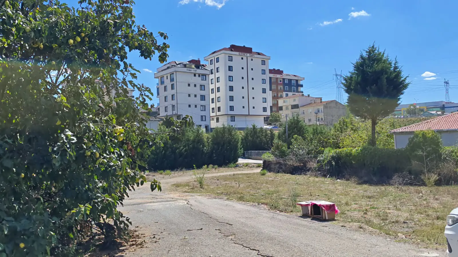 Property image 15