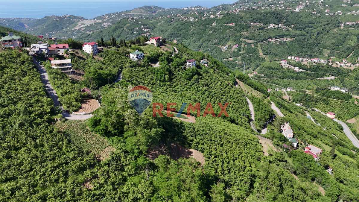 DOĞANÇAY 'DA YOLU AÇILMIŞ EV YERI AÇILMIŞ 1272 M2 ARAZI