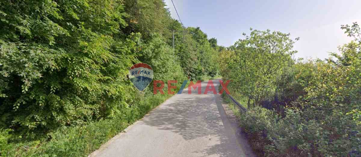 YATIRIMLIK KÜÇÜK TARLA