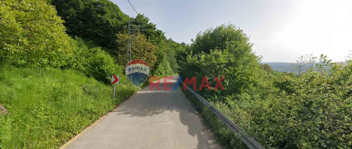 YATIRIMLIK KÜÇÜK TARLA