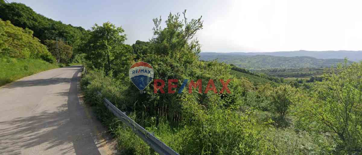 YATIRIMLIK KÜÇÜK TARLA