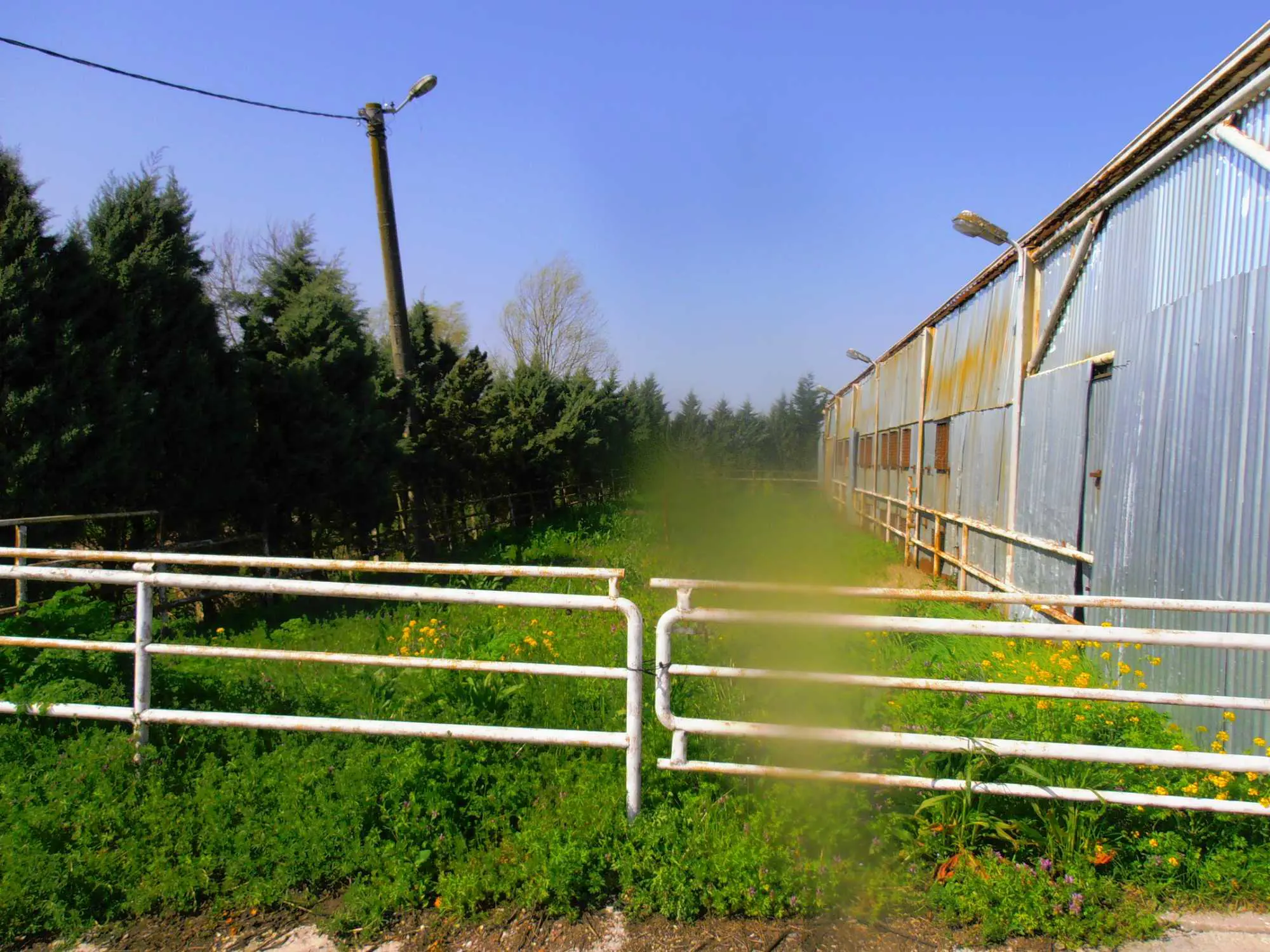 Property image 22