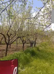 YATIRIMLIK  KAÇMAZ  FIRSAT 