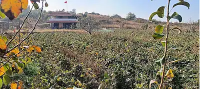 TURGUTLU YUKARI BOZKIR MAHALLESİNDE SATILIK BAHÇE