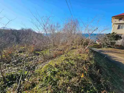 GIRESUN GÖRELE YALIKÖY'DE SATILIK TARLA