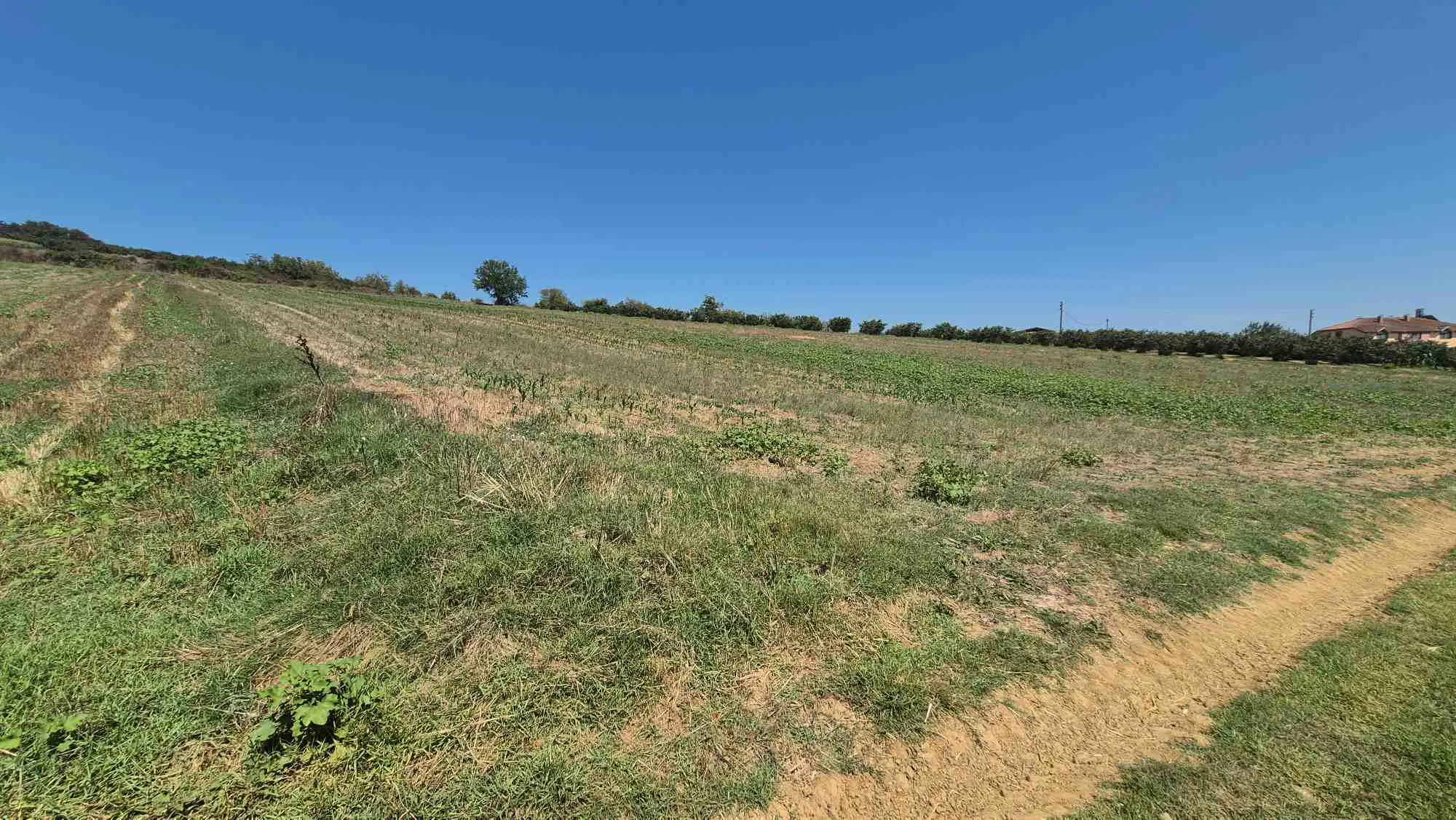 Property image 24