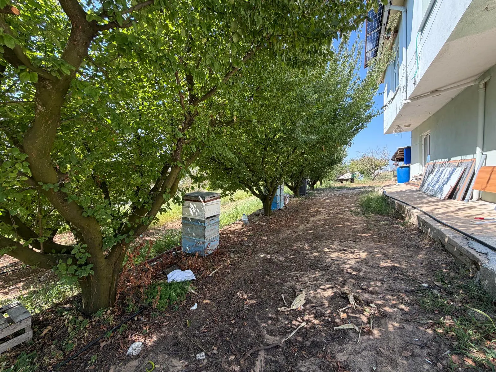 Property image 22