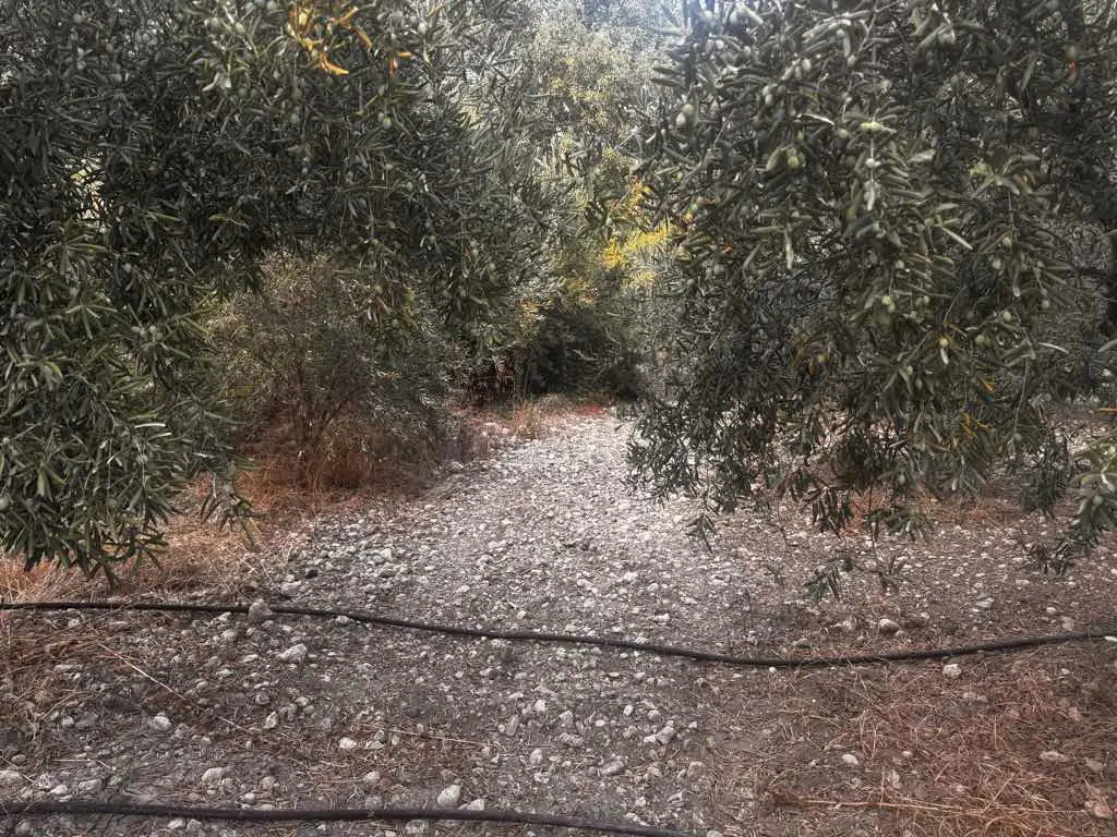 TAŞAĞILDA 350 M2 SATILIK ARSA