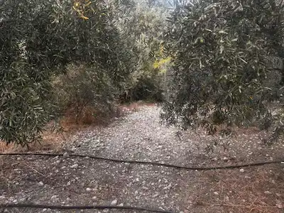 TAŞAĞILDA 350 M2 SATILIK ARSA