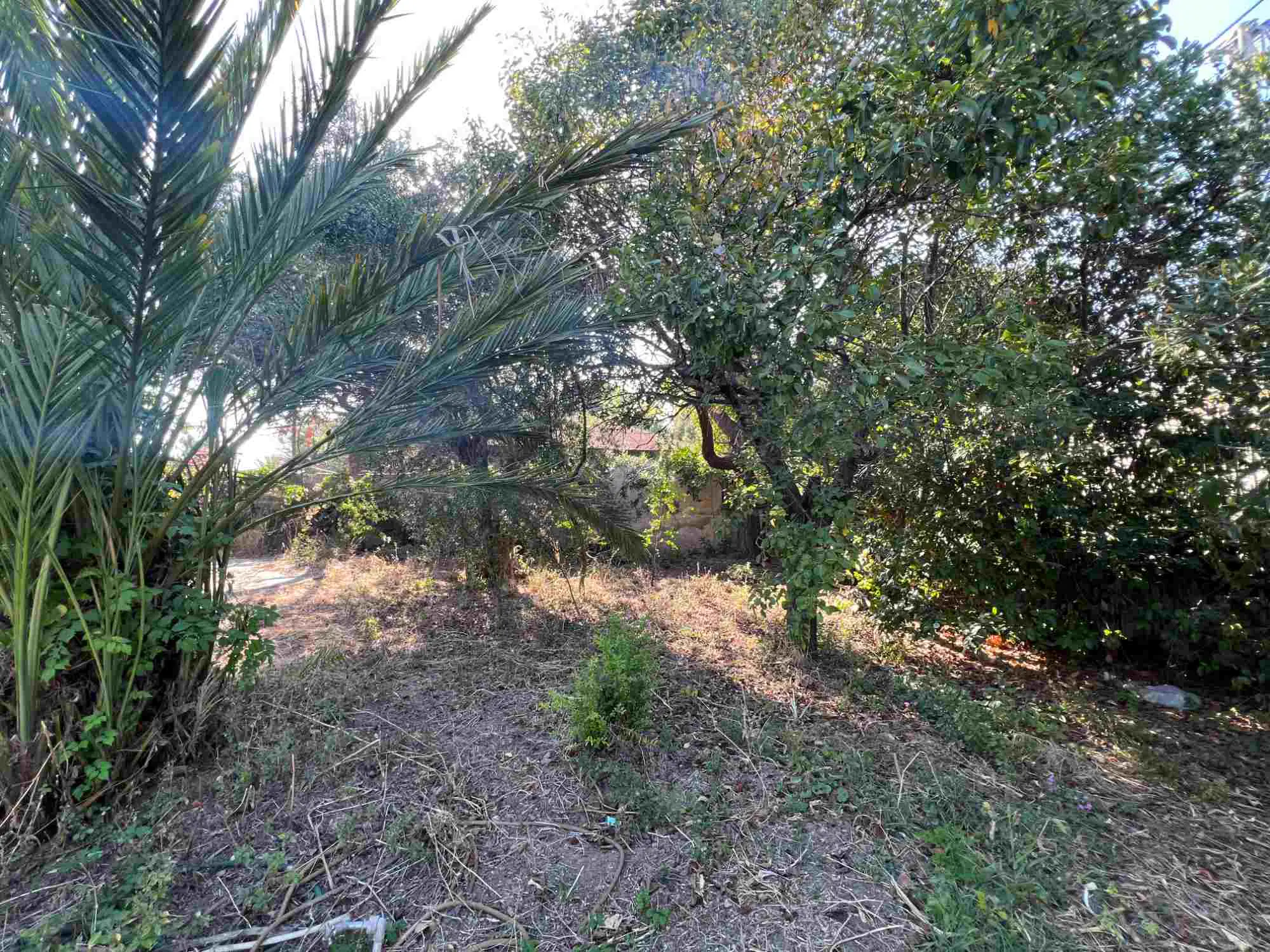 Property image 32