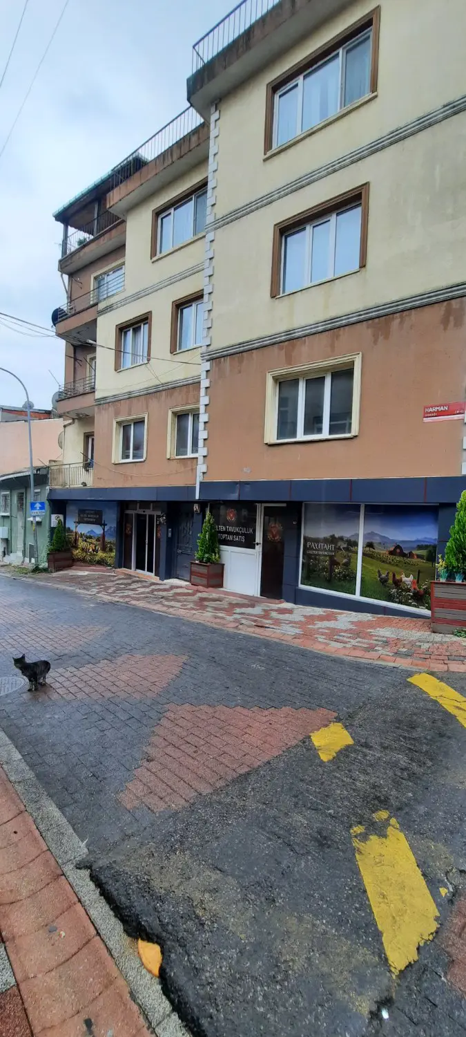 Property image 6