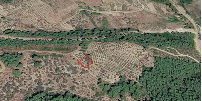 SEYDİKEMER ATLI DERE’DE DOĞAYLA İÇ İÇE 984 M² YATIRIMLIK TARLA
