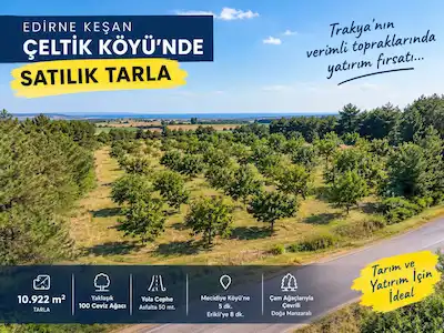 EDİRNE KEŞAN ÇELTİK KÖYÜNDE 10.922 M² YOLA CEPHE CEVİZ AĞAÇLI TARLA
