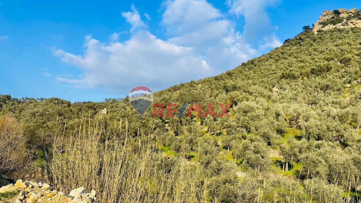 RE/MAX MID ADATEPEDE  FIRSAT FIYATIYLA 19 DÖNÜM SATILIK ZEYTINLIK