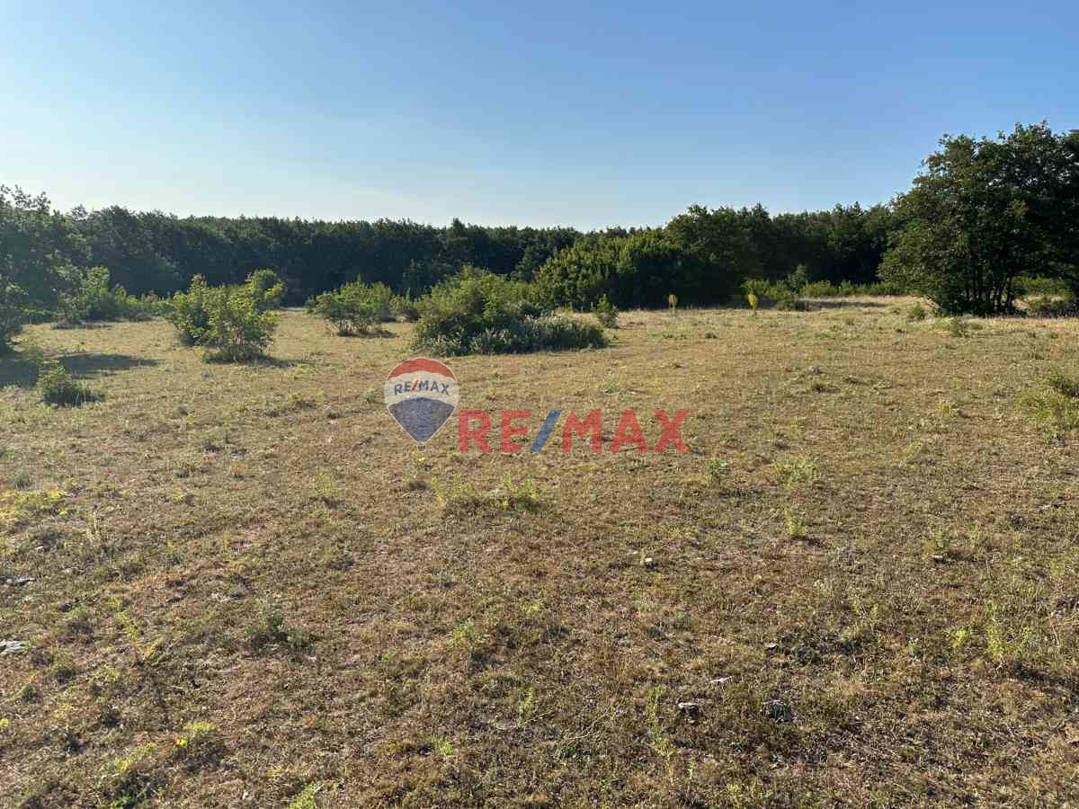 REMAX LAVANDA’DAN TEKİRDAĞ-SARAY’DA SATILIK TARLA