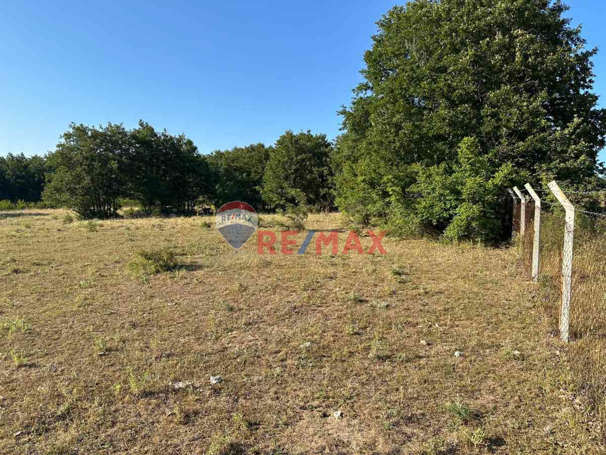 REMAX LAVANDA’DAN TEKİRDAĞ-SARAY’DA SATILIK TARLA