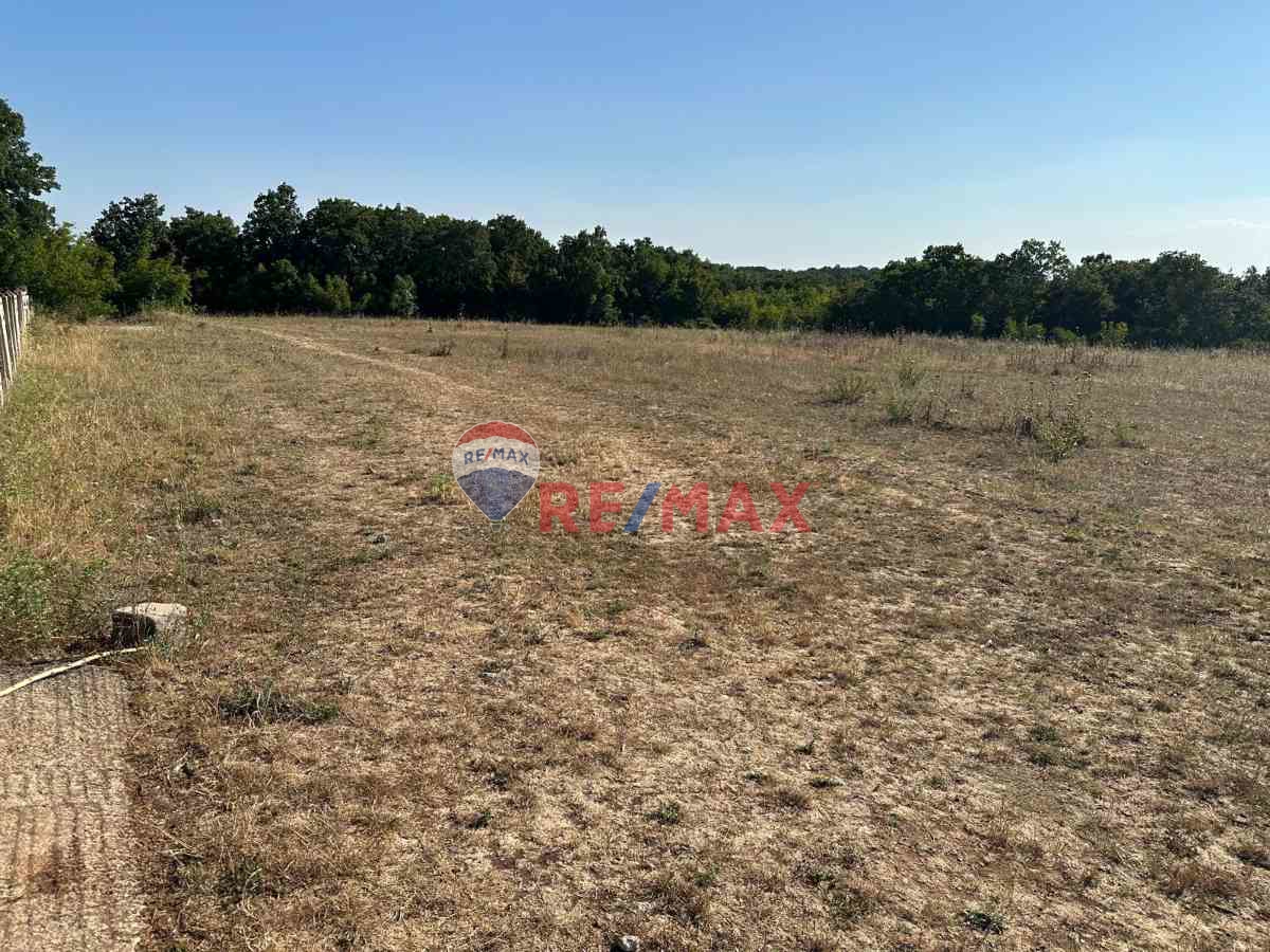 REMAX LAVANDA’DAN TEKİRDAĞ-SARAY’DA SATILIK TARLA