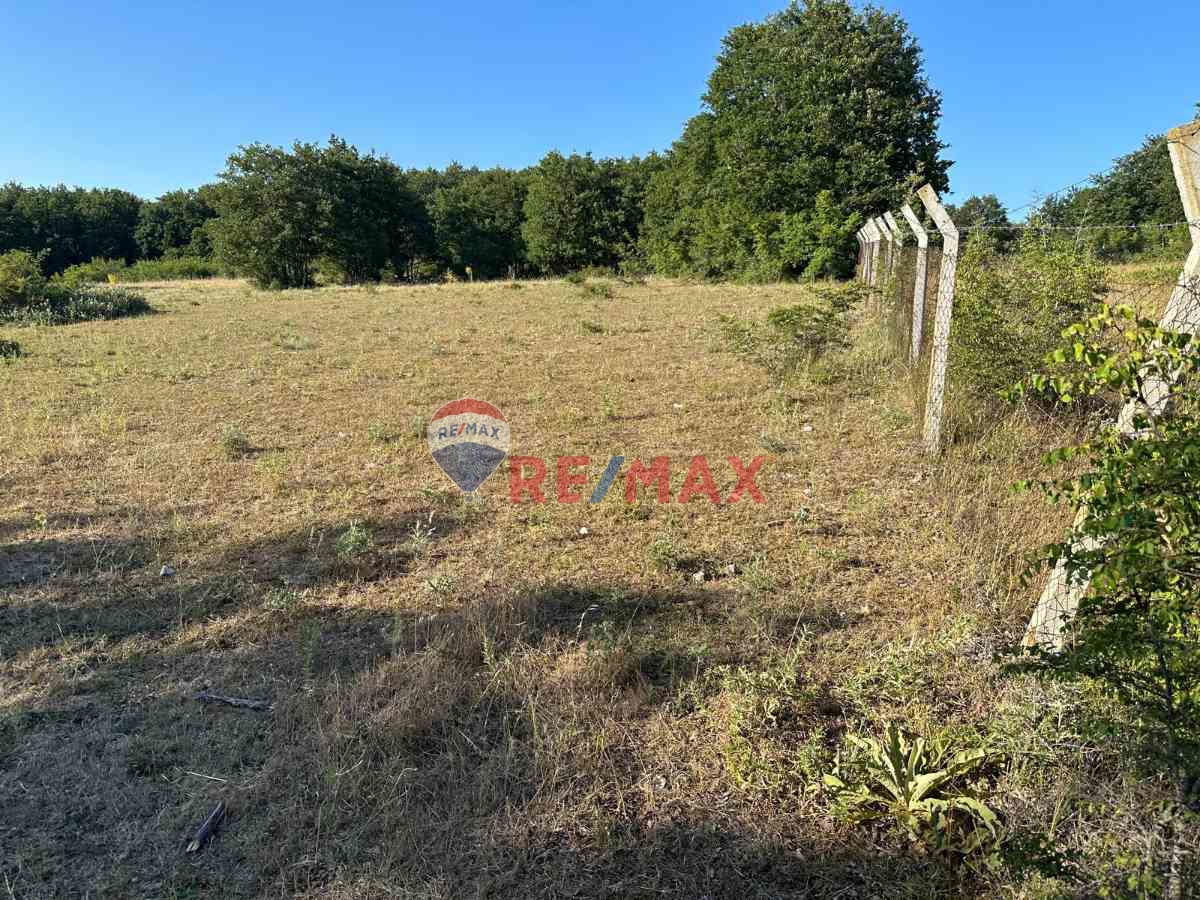 REMAX LAVANDA’DAN TEKİRDAĞ-SARAY’DA SATILIK TARLA