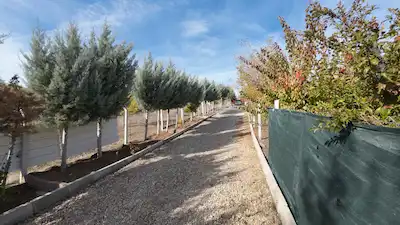 MEMLİK KÜME EVLERİ'NDE SATILIK