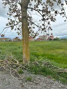 REMAX HÜSEYIN'DEN SATILIK 19MAYIS'DA YATIRIM FIRSATI ARSA