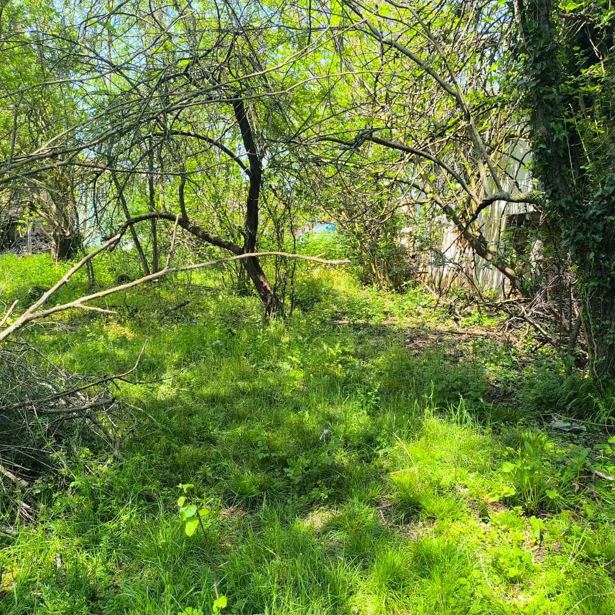 Property image 67