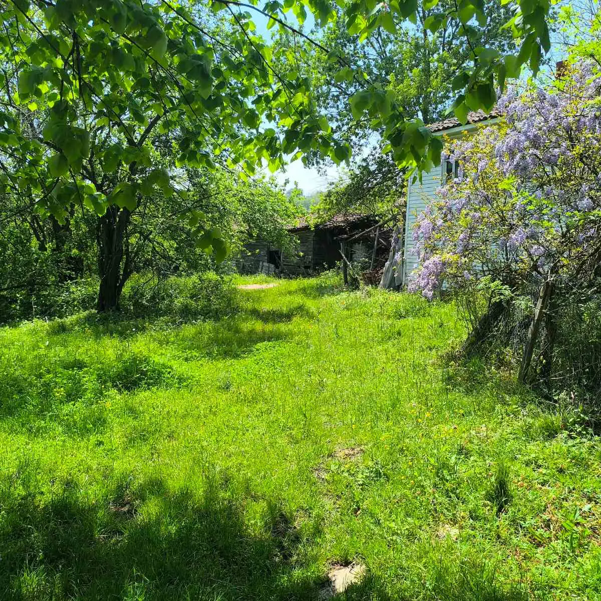 Property image 37