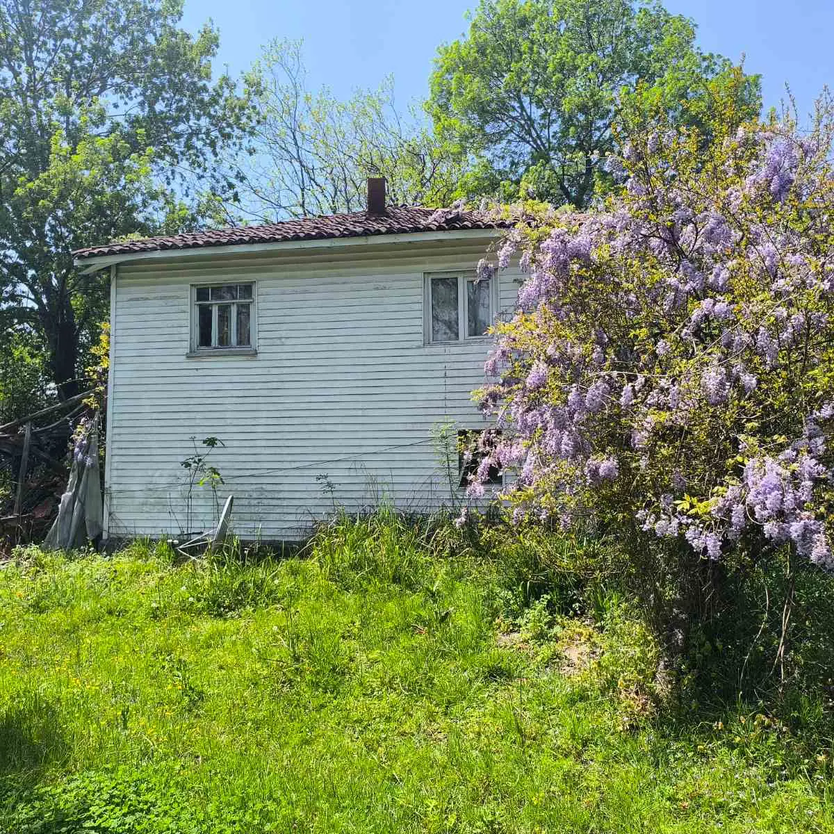 Property image 22